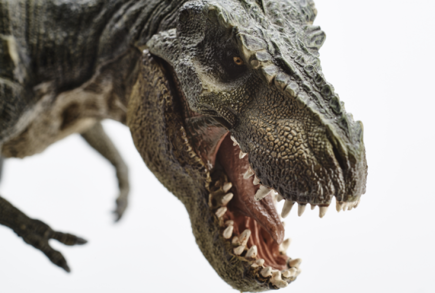 dangerous dinosaur open mouth transparent background png free download