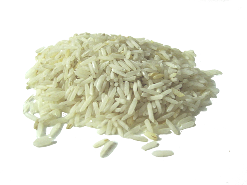 Rice Grain PNG Image Free Download
