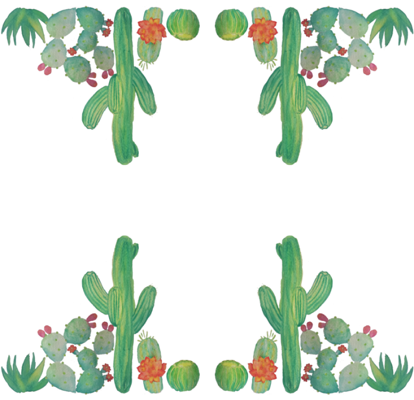 Format Cactus PNG Frame Image Free Download