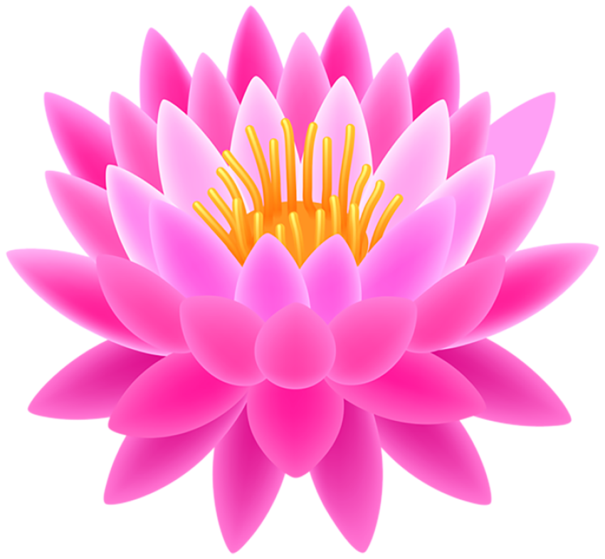 PSD Lotus Flower Vector PNG image Free Download