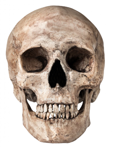 Halloween Skeleton PNG Head Image