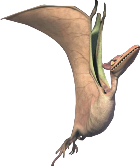 Granny Ice Age PNG fly Bird Image Free Download