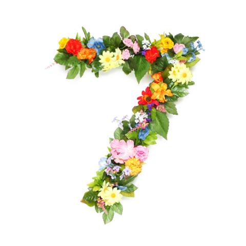 Floral 7 Number PNG Design Free Transparent Background