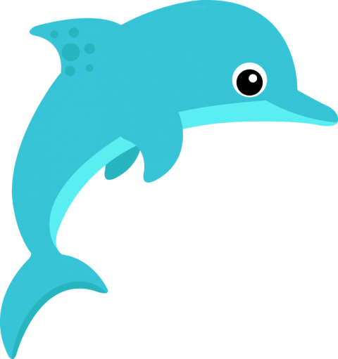 Animated Sea & Water Fish & Dolpin PNG on White Background