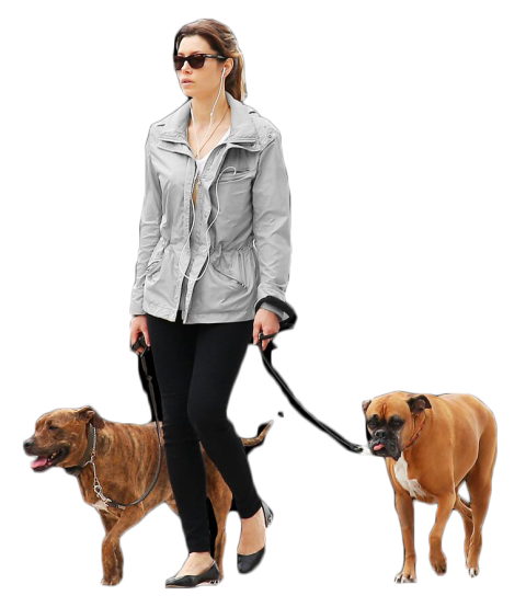 Beautiful girl with 2 dogs free png