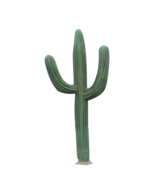 Transparent Desert Cactus PNG Image Free Download
