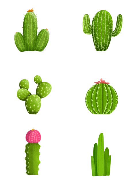 Cactus PNG Picture On Transparent Background Image