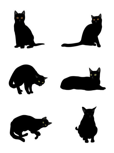 Halloween poster commercial black cat Free PNG Download