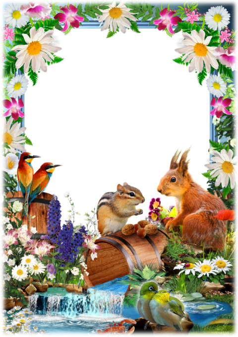 Birthday Photo Frame Animal Image PNG Free Download