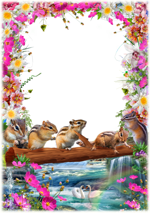 Birthday Sea Design PNG Photo