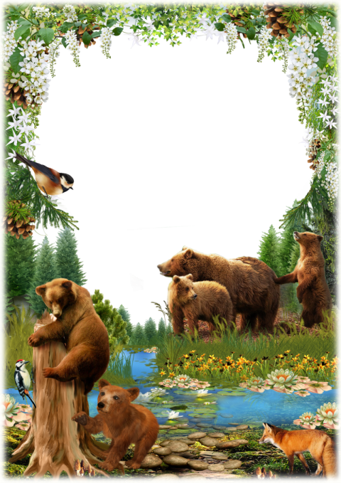 Birthday Forest Graphic Card Design PNG Download