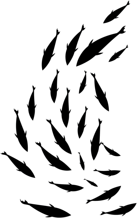 Swimming fish world ocean day PNG Free Download