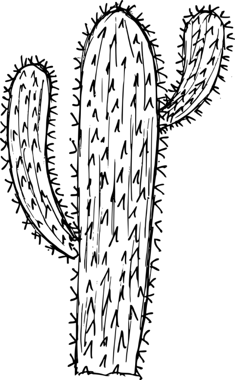 Istock Cactus PNG Skatch Without Color Drawing