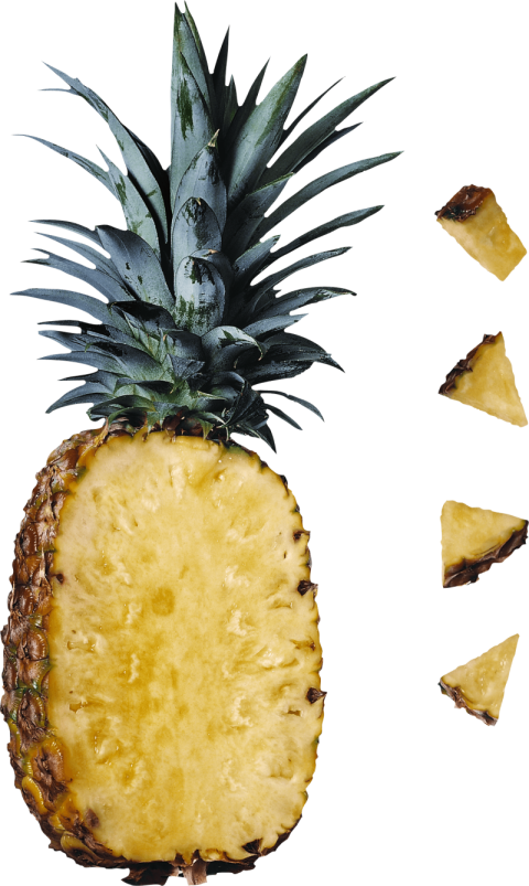 Download Free Pineapple PNG Image On Transparent Clipart Background