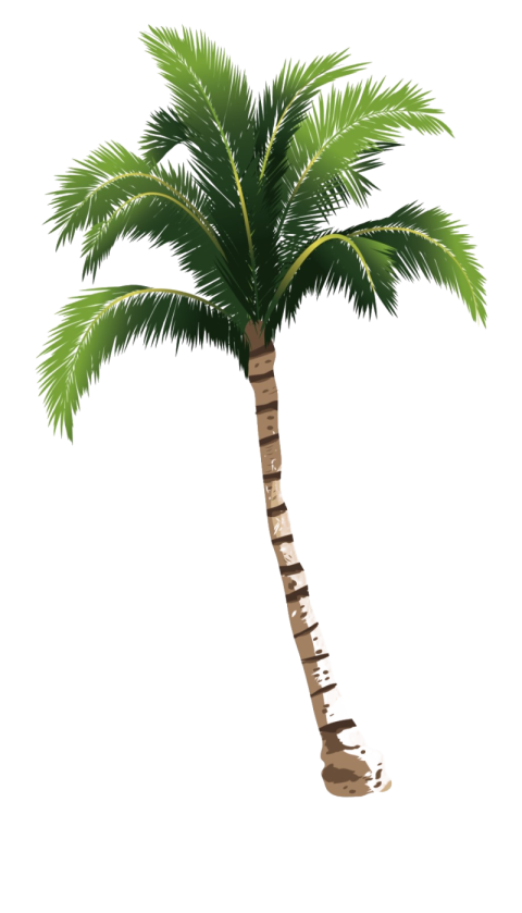 Palm Tree Of Silhouette PNG Picture