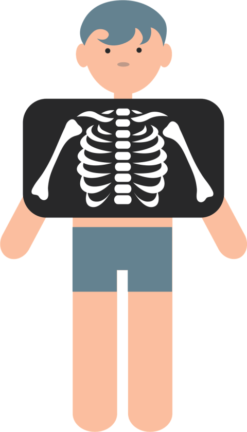 Radiology PNG X Ray Image Free Download