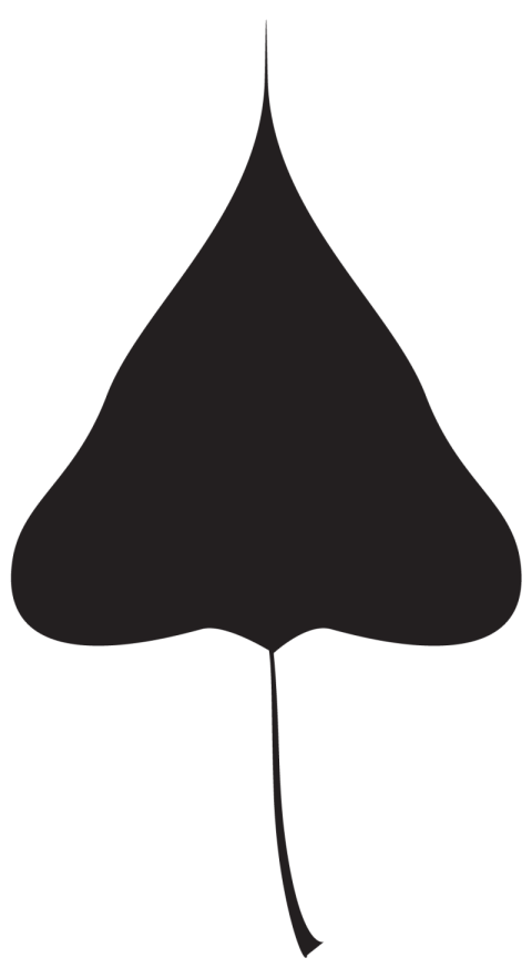 Botanical Simple Leaf Shape PNG Icon With Transparent Background Download free