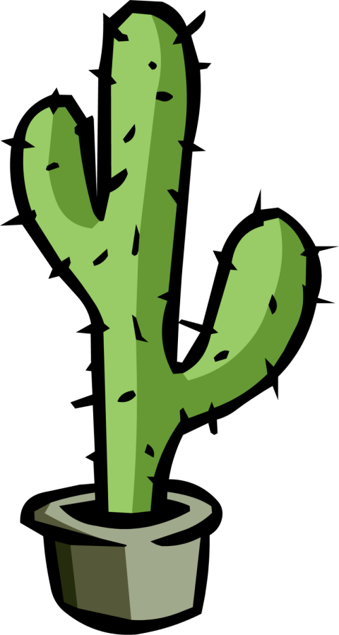 Illustration Cactus PNG Drawing Image