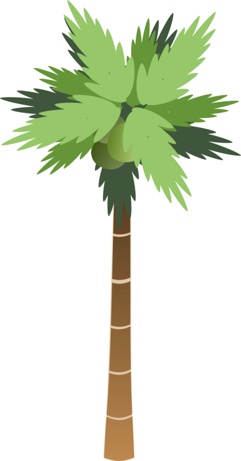 Palm Tree PNG watercolor Art Image