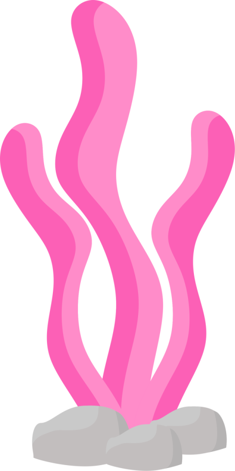 Pink Seaweed Baby Shark PNG Art Image Free Download