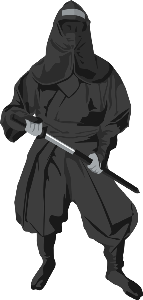 DownloadNinja Worrior PNG iStock