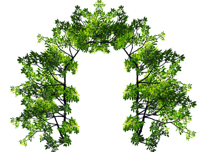 Wedding Decoration Green Leaves PNG Free Download