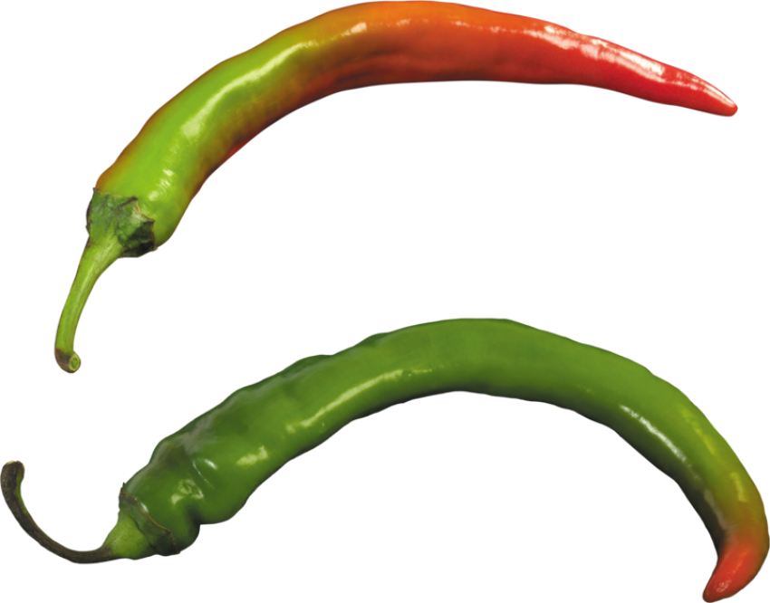 Green Chilli Tabasco PNG Transparent Background Image