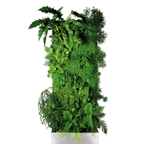 Clipart Tree Best PNG Transparent