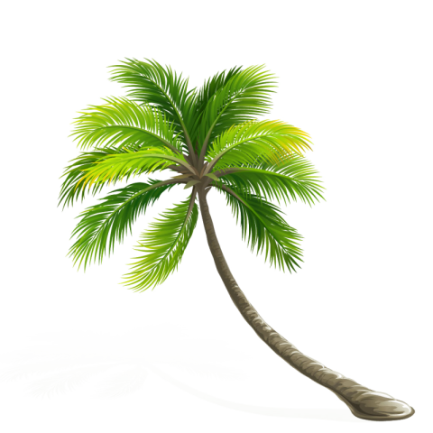 Elm Tree Clipart Palam Free Transparent