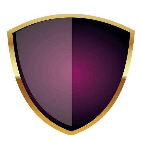 Illustration Hd Escudo Shield PNG Logo Free Download