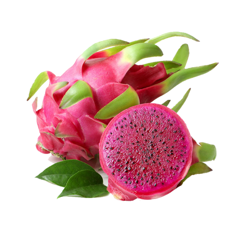 HD Stock Illustration Red Heart Dragon Fruit, Red Heart Fruit PNG Photo Free Download