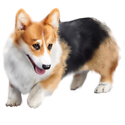Kirkys hand painted elements for pet free Download png