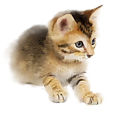 Pngtree—big eye cute cat hand painted 4228649