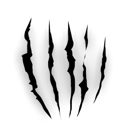 Cat animal claw printed cracked Free PNG Download