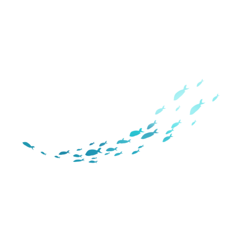 School of fish PNG Free Download