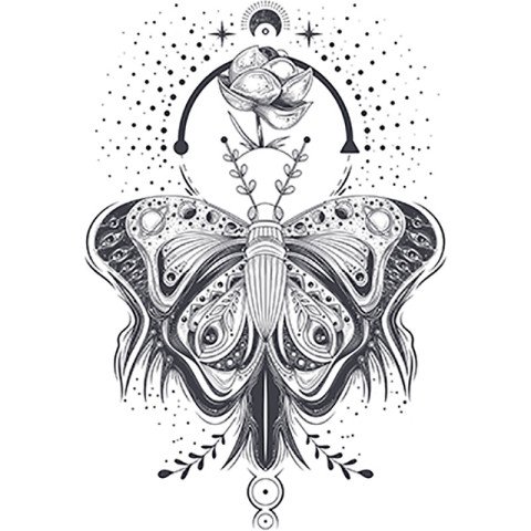 Vector illustration of a sketch, tattoo art butterfly in abstrac