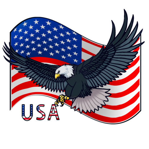 Hand painted elements of american flag PNG Free Download