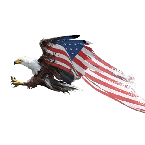 Flying white headed sea eagle gradual PNG Free Download