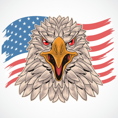 Ink eagle PNG free Download