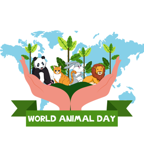 World animal day panda lion Free PNG Download