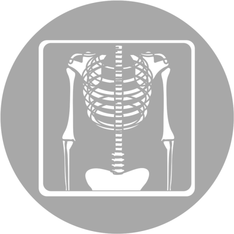 X Ray PNG Sticker PNG Picture