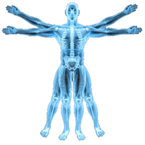 X Ray Free HealthCare and Medical PNG Transparent Free Free Image