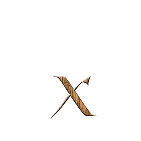 Svg Small X Letter PNG on White Background