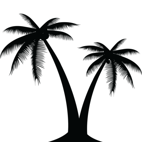 Palm Tree PNG Computer Icon Free Download