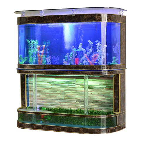Illustration Aquarium PNG Picture Free Download