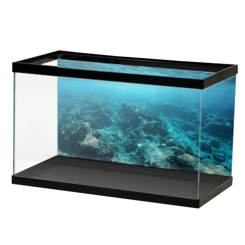 Vector Aquarium PNG Picture on Free Download