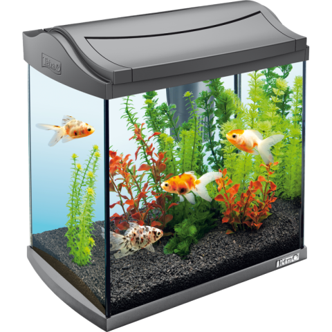 HD Aquarium PNG fish tank free download