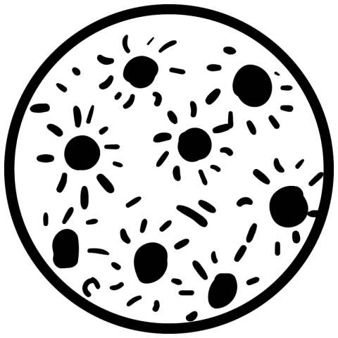Sillhouette Moon PNG Image Free Download