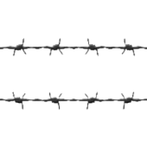 Realistic Barbwire PNG Image free download