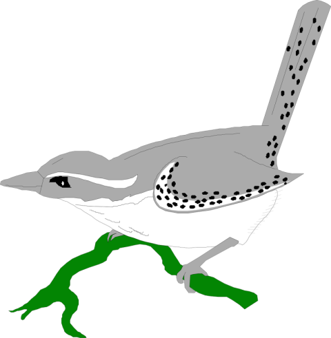 Vector Art Wren PNG Download